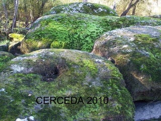 CERCEDA 2010 