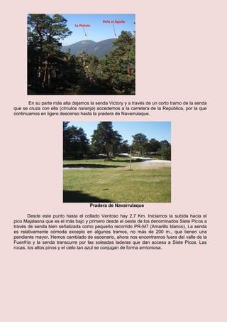 En su parte más alta dejamos la senda Victory y a través de un corto tramo de la senda
que se cruza con ella (círculos naranja) accedemos a la carretera de la República, por la que
continuamos en ligero descenso hasta la pradera de Navarrulaque.
Pradera de Navarrulaque
Desde este punto hasta el collado Ventoso hay 2,7 Km. Iniciamos la subida hacia el
pico Majalasna que es el más bajo y primero desde el oeste de los denominados Siete Picos a
través de senda bien señalizada como pequeño recorrido PR-M7 (Amarillo blanco). La senda
es relativamente cómoda excepto en algunos tramos, no más de 200 m., que tienen una
pendiente mayor. Hemos cambiado de escenario, ahora nos encontramos fuera del valle de la
Fuenfría y la senda transcurre por las soleadas laderas que dan acceso a Siete Picos. Las
rocas, los altos pinos y el cielo tan azul se conjugan de forma armoniosa.
 