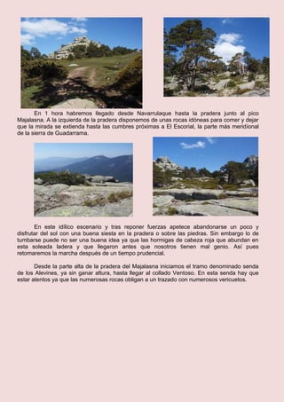 En 1 hora habremos llegado desde Navarrulaque hasta la pradera junto al pico
Majalasna. A la izquierda de la pradera disponemos de unas rocas idóneas para comer y dejar
que la mirada se extienda hasta las cumbres próximas a El Escorial, la parte más meridional
de la sierra de Guadarrama.
En este idílico escenario y tras reponer fuerzas apetece abandonarse un poco y
disfrutar del sol con una buena siesta en la pradera o sobre las piedras. Sin embargo lo de
tumbarse puede no ser una buena idea ya que las hormigas de cabeza roja que abundan en
esta soleada ladera y que llegaron antes que nosotros tienen mal genio. Así pues
retomaremos la marcha después de un tiempo prudencial.
Desde la parte alta de la pradera del Majalasna iniciamos el tramo denominado senda
de los Alevines, ya sin ganar altura, hasta llegar al collado Ventoso. En esta senda hay que
estar atentos ya que las numerosas rocas obligan a un trazado con numerosos vericuetos.
 