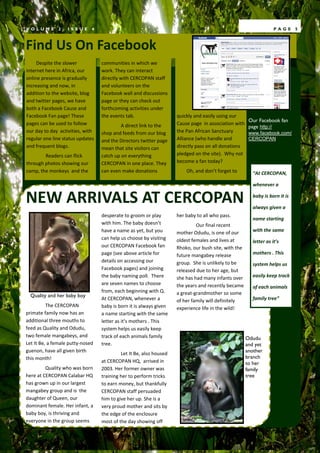 VOLUME        2,   ISSUE      4                                                                                   PAGE      5



Find Us On Facebook
     Despite the slower           communities in which we
internet here in Africa, our      work. They can interact
online presence is gradually      directly with CERCOPAN staff
increasing and now, in            and volunteers on the
addition to the website, blog     Facebook wall and discussions
and twitter pages, we have        page or they can check out
both a Facebook Cause and         forthcoming activities under
Facebook Fan page! These          the events tab.                   quickly and easily using our
                                                                                                      Our Facebook fan
pages can be used to follow                A direct link to the     Cause page in association with
                                                                                                      page http://
our day to day activities, with   shop and feeds from our blog      the Pan African Sanctuary         www.facebook.com/
regular one line status updates   and the Directors twitter page    Alliance (who handle and          CERCOPAN
and frequent blogs.               mean that site visitors can       directly pass on all donations
        Readers can flick         catch up on everything            pledged on the site). Why not
through photos showing our        CERCOPAN in one place. They       become a fan today?
camp, the monkeys and the         can even make donations               Oh, and don’t forget to        “At CERCOPAN,

                                                                                                       whenever a


NEW ARRIVALS AT CERCOPAN                                                                               baby is born it is

                                                                                                       always given a
                                  desperate to groom or play        her baby to all who pass.
                                                                                                       name starting
                                  with him. The baby doesn’t                 Our final recent
                                  have a name as yet, but you       mother Odudu, is one of our        with the same
                                  can help us choose by visiting    oldest females and lives at        letter as it’s
                                  our CERCOPAN Facebook fan         Rhoko, our bush site, with the
                                  page (see above article for       future mangabey release            mothers . This
                                  details on accessing our          group. She is unlikely to be       system helps us
                                  Facebook pages) and joining       released due to her age, but
                                  the baby naming poll. There       she has had many infants over      easily keep track
                                  are seven names to choose         the years and recently became      of each animals
                                  from, each beginning with Q.      a great-grandmother so some
  Quality and her baby boy
                                  At CERCOPAN, whenever a           of her family will definitely      family tree”
          The CERCOPAN            baby is born it is always given   experience life in the wild!
primate family now has an         a name starting with the same
additional three mouths to        letter as it’s mothers . This
feed as Quality and Odudu,        system helps us easily keep
two female mangabeys, and         track of each animals family                                       Odudu
Let It Be, a female putty-nosed   tree.                                                              and yet
guenon, have all given birth                                                                         another
                                           Let It Be, also housed
this month!                                                                                          branch
                                  at CERCOPAN HQ, arrived in                                         to her
         Quality who was born     2003. Her former owner was                                         family
here at CERCOPAN Calabar HQ       training her to perform tricks                                     tree
has grown up in our largest       to earn money, but thankfully
mangabey group and is the         CERCOPAN staff persuaded
daughter of Queen, our            him to give her up. She is a
dominant female. Her infant, a    very proud mother and sits by
baby boy, is thriving and         the edge of the enclosure
everyone in the group seems       most of the day showing off
 