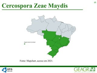 Cercospora Zeae Maydis
15
Fonte: Mapchart, acesso em 2021.
 