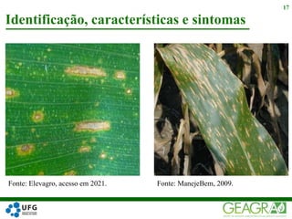 Identificação, características e sintomas
17
Fonte: Elevagro, acesso em 2021. Fonte: ManejeBem, 2009.
 