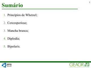 1. Princípios de Whetzel;
2. Cercosporiose;
3. Mancha branca;
4. Diplodia;
5. Bipolaris.
Sumário
2
 