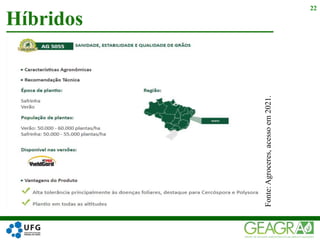 Híbridos
22
Fonte:
Agroceres,
acesso
em
2021.
 