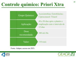 Controle químico: Priori Xtra
25
Dose
recomendada:
300 mL/Ha
Aplicação:
40 a 50 dias após o plantio e
reaplicação com o intervalo de
15 dias
Grupo Químico:
Azoxistrobina: Estrobilurina -
Ciproconazol: Triazol
Valor: 110 reais
Fonte: Adapar, acesso em 2021.
 