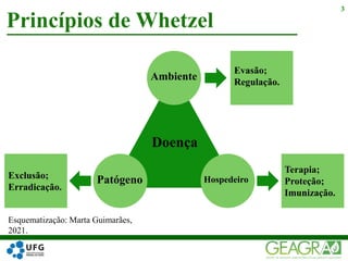 Princípios de Whetzel
3
Doença
Patógeno
Ambiente
Hospedeiro
Exclusão;
Erradicação.
Evasão;
Regulação.
Terapia;
Proteção;
Imunização.
Esquematização: Marta Guimarães,
2021.
 
