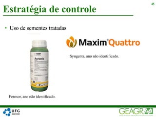 • Uso de sementes tratadas
Estratégia de controle
45
Ferosor, ano não identificado.
Syngenta, ano não identificado.
 