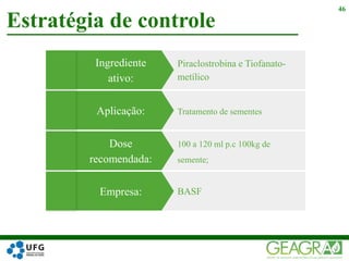 Estratégia de controle
46
Dose
recomendada:
100 a 120 ml p.c 100kg de
semente;
Aplicação: Tratamento de sementes
Ingrediente
ativo:
Piraclostrobina e Tiofanato-
metílico
Empresa: BASF
 