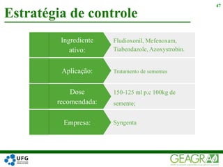 Estratégia de controle
47
Aplicação: Tratamento de sementes
Ingrediente
ativo:
Fludioxonil, Mefenoxam,
Tiabendazole, Azoxystrobin.
Empresa: Syngenta
Dose
recomendada:
150-125 ml p.c 100kg de
semente;
 
