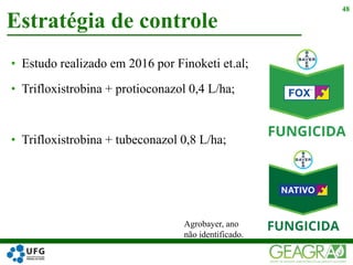 • Estudo realizado em 2016 por Finoketi et.al;
• Trifloxistrobina + protioconazol 0,4 L/ha;
• Trifloxistrobina + tubeconazol 0,8 L/ha;
Estratégia de controle
48
Agrobayer, ano
não identificado.
 