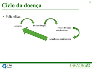 • Policiclica;
Ciclo da doença
55
Disseminação
Conídios
Tecidos foliares
ou aberturas
Micélio no parênquima
 
