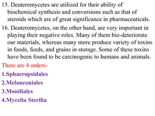 15. Deuteromycetes are utilized for their ability of
biochemical synthesis and conversions such as that of
steroids which are of great significance in pharmaceuticals.
16. Deuteromycetes, on the other hand, are very important in
playing their negative roles. Many of them bio-deteriorate
our materials, whereas many more produce variety of toxins
in foods, feeds, and grains in storage. Some of these toxins
have been found to be carcinogenic to humans and animals.
There are 4 orders-
1.Sphaeropsidales
2.Melanconiales
3.Moniliales
4.Mycelia Sterilia
 