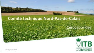 Le 17 janvier 2024
1
Comité technique Nord-Pas-de-Calais
Cercosporiose
 