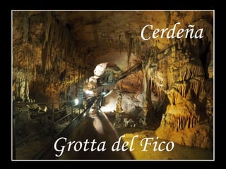 Cerdeña 
Grotta del Fico 
 