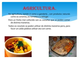 A gandería de Cerdedo é moi ampla. Pódense encontrar moitos animais domésticos, como os porcos que dan moita carne e tamén aproveitan a perna, pero a mellor é a esquerda. E tamén se encontran outros animais como o polo e a terneira. A gandería. 
