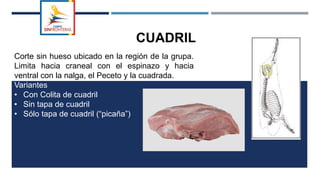 CUADRIL
Corte sin hueso ubicado en la región de la grupa.
Limita hacia craneal con el espinazo y hacia
ventral con la nalga, el Peceto y la cuadrada.
Variantes
• Con Colita de cuadril
• Sin tapa de cuadril
• Sólo tapa de cuadril (“picaña”)
 