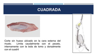 CUADRADA
Corte sin hueso ubicado en la cara externa del
muslo. Limita caudalmente con el peceto,
internamente con la bola de lomo y dorsalmente
con el cuadril
 