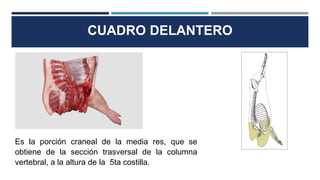 CUADRO DELANTERO
Es la porción craneal de la media res, que se
obtiene de la sección trasversal de la columna
vertebral, a la altura de la 5ta costilla.
 