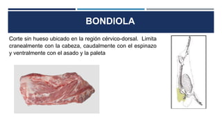 BONDIOLA
Corte sin hueso ubicado en la región cérvico-dorsal. Limita
cranealmente con la cabeza, caudalmente con el espinazo
y ventralmente con el asado y la paleta
 
