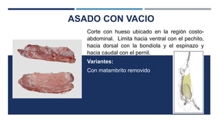 ASADO CON VACIO
Corte con hueso ubicado en la región costo-
abdominal. Limita hacia ventral con el pechito,
hacia dorsal con la bondiola y el espinazo y
hacia caudal con el pernil.
Variantes:
Con matambrito removido
 