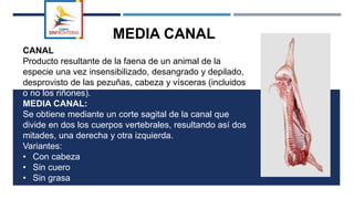 MEDIA CANAL
CANAL
Producto resultante de la faena de un animal de la
especie una vez insensibilizado, desangrado y depilado,
desprovisto de las pezuñas, cabeza y vísceras (incluidos
o no los riñones).
MEDIA CANAL:
Se obtiene mediante un corte sagital de la canal que
divide en dos los cuerpos vertebrales, resultando así dos
mitades, una derecha y otra izquierda.
Variantes:
• Con cabeza
• Sin cuero
• Sin grasa
 