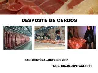 DESPOSTE DE CERDOS  SAN CRISTÓBAL,OCTUBRE 2011 T.S.U. GUADALUPE WALDRÓN 