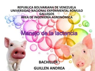 BACHILLER :
GUILLEN ANDREA
REPUBLICA BOLIVARIANA DE VENEZUELA
UNIVERSIDAD NACIONAL EXPERIMENTAL RÓMULO
GALLEGOS
ÁREA DE INGENIERÍA AGRONÓMICA
 