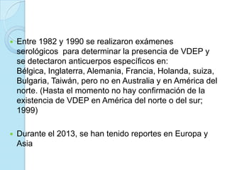 

Entre 1982 y 1990 se realizaron exámenes
serológicos para determinar la presencia de VDEP y
se detectaron anticuerpos específicos en:
Bélgica, Inglaterra, Alemania, Francia, Holanda, suiza,
Bulgaria, Taiwán, pero no en Australia y en América del
norte. (Hasta el momento no hay confirmación de la
existencia de VDEP en América del norte o del sur;
1999)



Durante el 2013, se han tenido reportes en Europa y
Asia

 