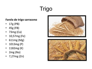 Trigo
Farelo de trigo sarraceno
• 17g (PB)
• 45g (FB)
• 73mg (Ca)
• 10,57mg (Fe)
• 611mg (Mg)
• 1013mg (P)
• 1182mg (K)
• 2mg (Na)
• 7,27mg (Zn)
 
