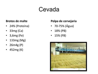 Cevada
Brotos de malte
• 24% (Proteína)
• 33mg (Ca)
• 3,6mg (Fe)
• 133mg (Mg)
• 26m4g (P)
• 452mg (K)
Polpa de cervejaria
• 70-75% (Água)
• 18% (PB)
• 15% (FB)
 