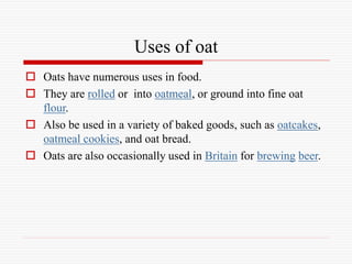 Uses of oat
 Oats have numerous uses in food.
 They are rolled or into oatmeal, or ground into fine oat
flour.
 Also be used in a variety of baked goods, such as oatcakes,
oatmeal cookies, and oat bread.
 Oats are also occasionally used in Britain for brewing beer.
 