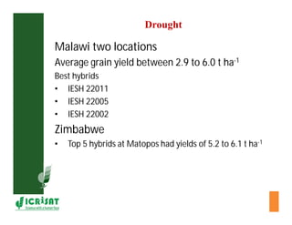 Cereal breeding in ESA- Henry Ojulong, Eric Manyasa, Sam Njoroge, NARS partners