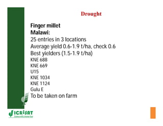 Cereal breeding in ESA- Henry Ojulong, Eric Manyasa, Sam Njoroge, NARS partners