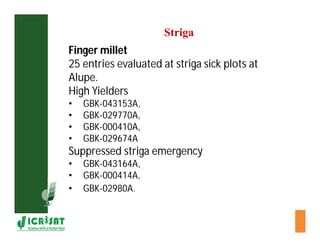 Cereal breeding in ESA- Henry Ojulong, Eric Manyasa, Sam Njoroge, NARS partners