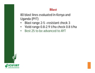 Cereal breeding in ESA- Henry Ojulong, Eric Manyasa, Sam Njoroge, NARS partners