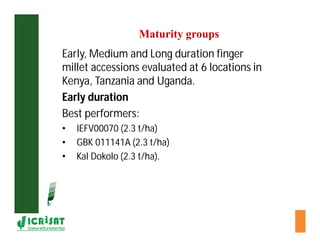 Cereal breeding in ESA- Henry Ojulong, Eric Manyasa, Sam Njoroge, NARS partners