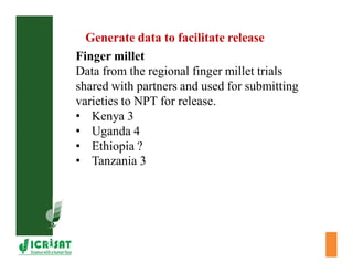 Cereal breeding in ESA- Henry Ojulong, Eric Manyasa, Sam Njoroge, NARS partners