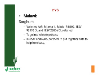 Cereal breeding in ESA- Henry Ojulong, Eric Manyasa, Sam Njoroge, NARS partners
