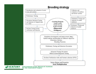 Cereal breeding in ESA- Henry Ojulong, Eric Manyasa, Sam Njoroge, NARS partners