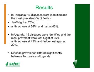 Cereal breeding in ESA- Henry Ojulong, Eric Manyasa, Sam Njoroge, NARS partners