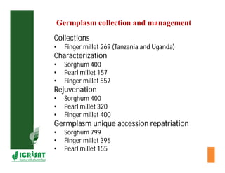 Cereal breeding in ESA- Henry Ojulong, Eric Manyasa, Sam Njoroge, NARS partners