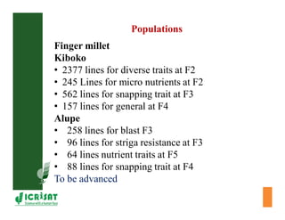 Cereal breeding in ESA- Henry Ojulong, Eric Manyasa, Sam Njoroge, NARS partners