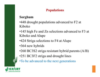 Cereal breeding in ESA- Henry Ojulong, Eric Manyasa, Sam Njoroge, NARS partners