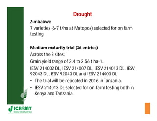 Cereal breeding in ESA- Henry Ojulong, Eric Manyasa, Sam Njoroge, NARS partners