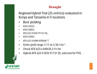 Cereal breeding in ESA- Henry Ojulong, Eric Manyasa, Sam Njoroge, NARS partners