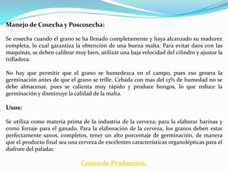 Manejo de Cosecha y Poscosecha:

Se cosecha cuando el grano se ha llenado completamente y haya alcanzado su madurez
completa, lo cual garantiza la obtención de una buena malta. Para evitar daos con las
maquinas, se deben calibrar muy bien, utilizar una baja velocidad del cilindro y ajustar la
trilladora.

No hay que permitir que el grano se humedezca en el campo, pues eso genera la
germinación antes de que el grano se trille. Cebada con mas del 13% de humedad no se
debe almacenar, pues se calienta muy rápido y produce hongos, lo que reduce la
germinación y disminuye la calidad de la malta.

Usos:

Se utiliza como materia prima de la industria de la cerveza; para la elaborar harinas y
como forraje para el ganado. Para la elaboración de la cerveza, los granos deben estar
perfectamente sanos, completos, tener un alto porcentaje de germinación, de manera
que el producto final sea una cerveza de excelentes características organolépticas para el
disfrute del paladar.

                               Costos de Producción.
 