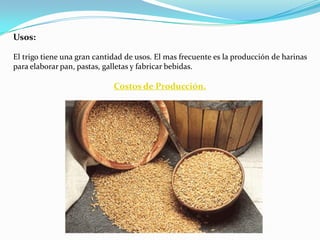 Usos:

El trigo tiene una gran cantidad de usos. El mas frecuente es la producción de harinas
para elaborar pan, pastas, galletas y fabricar bebidas.

                             Costos de Producción.
 