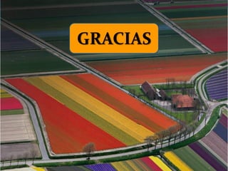 GRACIAS
 