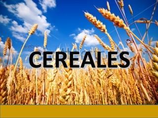 CEREALES
 