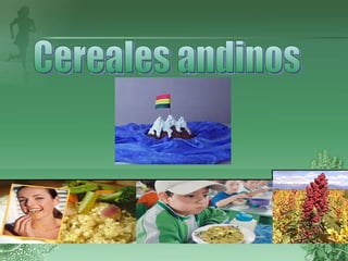 Cereales andinos 